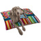 Retro Scales & Stripes Dog Bed - Large LIFESTYLE