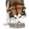 Retro Scales & Stripes Plastic Pet Bowls - Large - LIFESTYLE