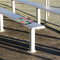 Retro Scales & Stripes Stadium Cushion (In Stadium)