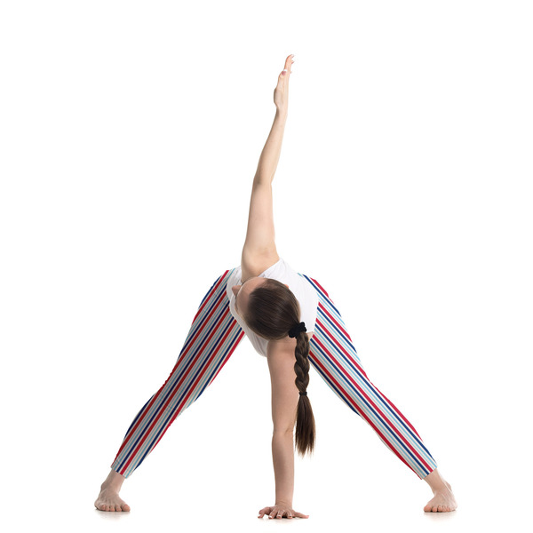 Anchors & Stripes Ladies Leggings - LIFESTYLE