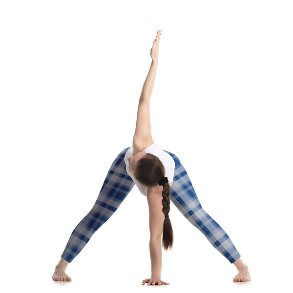 Plaid Ladies Leggings - LIFESTYLE