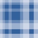 Plaid Wallpaper & Surface Covering (Water Activated 24"x 24" Sample)