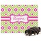Ogee Ikat Dog Blanket - Large (Personalized)