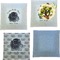 Zodiac Constellations Set of Square Dinner Plates