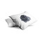 Zodiac Constellations Toddler Pillow Case - TWO (partial print)