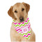 Pink & Green Chevron Bandana - On Dog