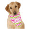 Pink & Green Chevron Dog Bandana Scarf w/ Monogram