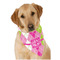 Pink & Green Argyle Bandana - On Dog