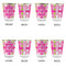 Pink & Green Argyle Glass Shot Glass - with gold rim - Set of 4 - APPROVAL