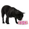 Pink & Green Argyle Plastic Pet Bowls - Medium - LIFESTYLE