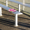 Pink & Green Argyle Stadium Cushion (In Stadium)