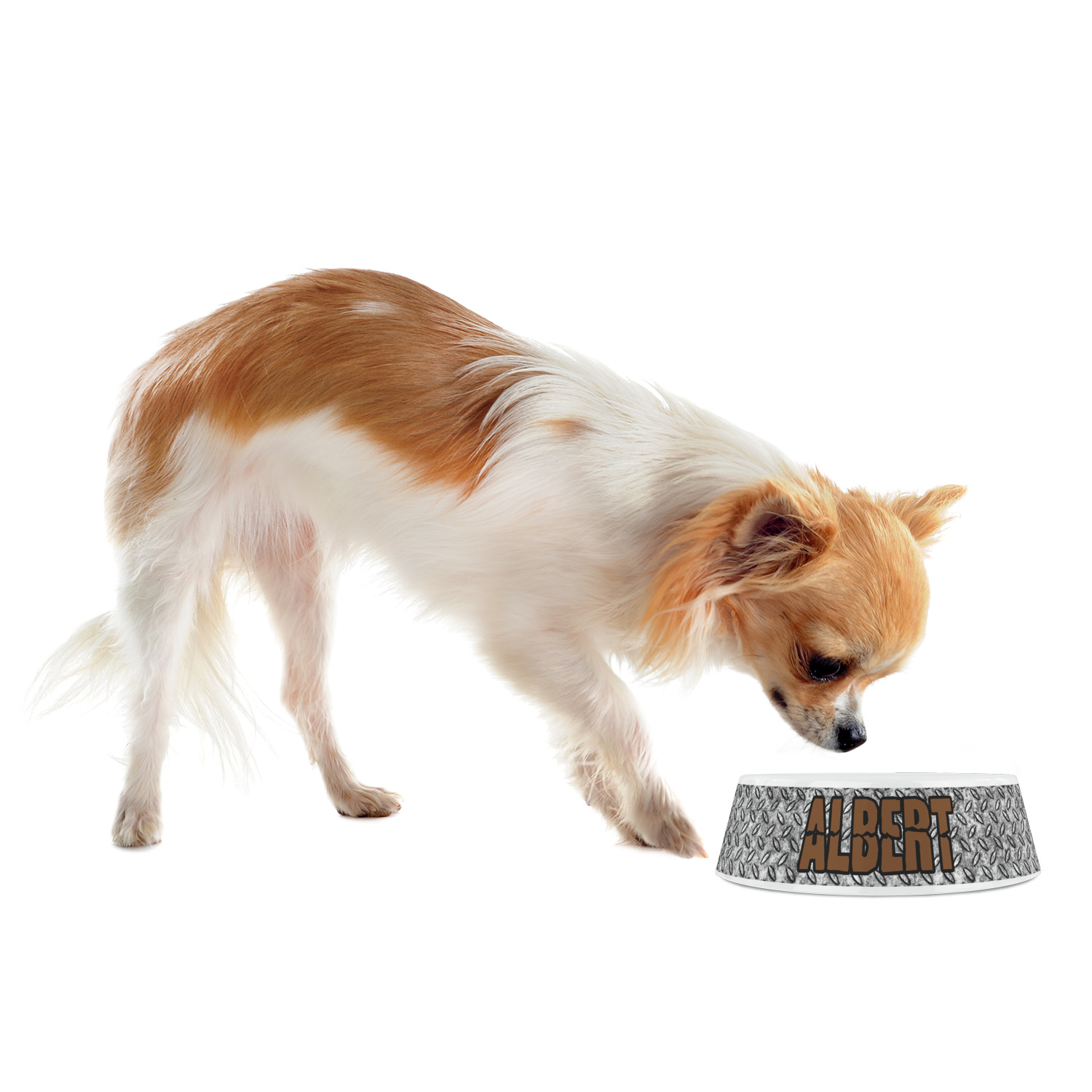 Custom Diamond Plate Plastic Dog Bowl (Personalized) | YouCustomizeIt