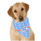 Zigzag Dog Bandana Scarf w/ Monogram