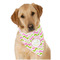Pink & Green Geometric Bandana - On Dog