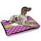 Clover Outdoor Dog Beds - Large - IN CONTEXT