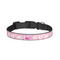Princess Carriage Dog Collar - Small (Personalized)