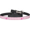Princess Carriage Dog Leash (Personalized)
