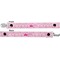 Princess Carriage Pacifier Clip - Front and Back