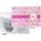 Princess Carriage Vinyl Passport Holder - Flat Front and Back
