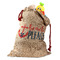 Chic Beach House Santa Sack