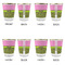 Pink & Lime Green Leopard Glass Shot Glass - with gold rim - Set of 4 - APPROVAL