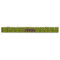 Pink & Lime Green Leopard Plastic Ruler - 12" - FRONT