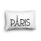 Paris & Eiffel Tower Toddler Pillow Case - FRONT (partial print)
