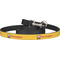 Firetrucks Dog Leash (Personalized)