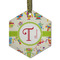 Rocking Robots Frosted Glass Ornament - Hexagon