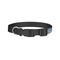 Welcome to School Dog Collar - Small - Back
