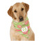 Lily Pads Dog Bandana Scarf w/ Name and Initial