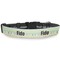 Abstract Teal Stripes Dog Collar Round - Main