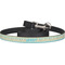 Abstract Teal Stripes Dog Leash w/ Metal Hook2