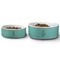 Dental Hygienist Ceramic Dog Bowls - Size Comparison