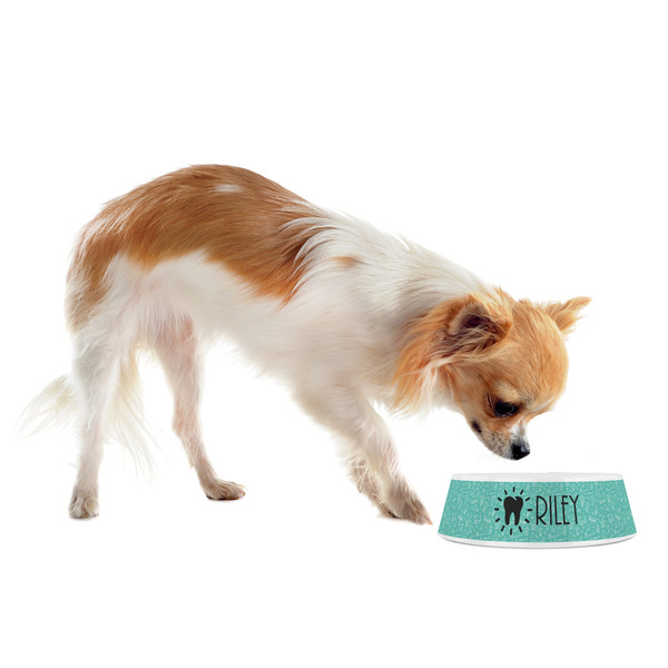 Dental Hygienist Plastic Pet Bowls - Small - LIFESTYLE