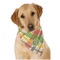 Golfer's Plaid Dog Bandana Scarf w/ Name or Text