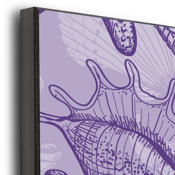 Sea Shells 20x24 Wood Print - Closeup