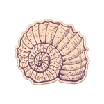 Sea Shells Genuine Maple or Cherry Wood Sticker
