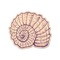 Sea Shells Wooden Sticker - Main