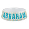 Teal Circles & Stripes Plastic Dog Bowl - Large (Personalized)