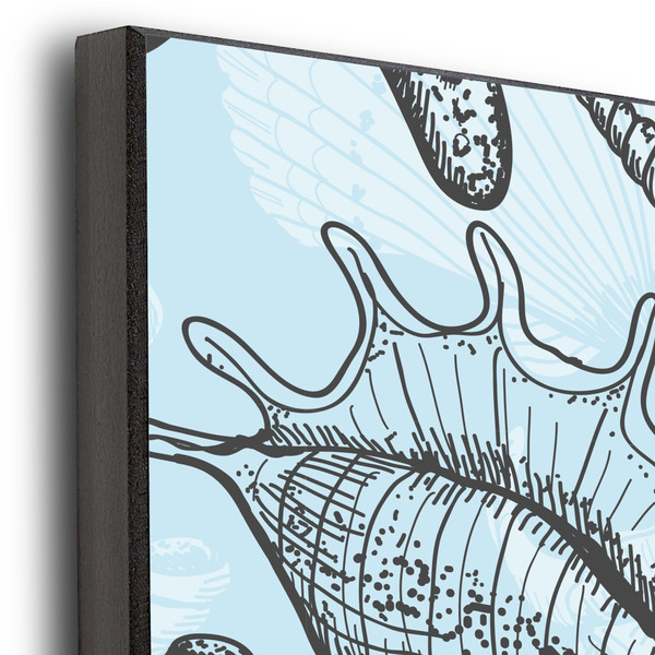 Sea-blue Seashells 20x24 Wood Print - Closeup