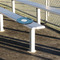 Rope Sail Boats Stadium Cushion (In Stadium)