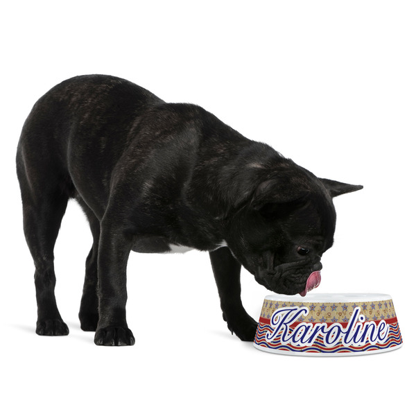Vintage Stars & Stripes Plastic Pet Bowls - Medium - LIFESTYLE