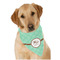 Om Dog Bandana Scarf w/ Name or Text