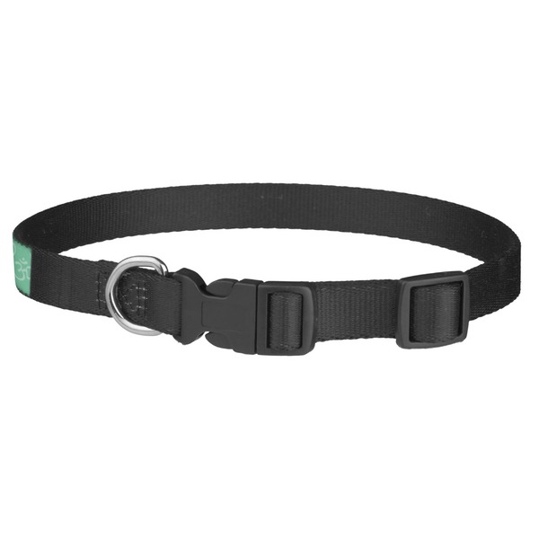 Om Dog Collar - Medium - Back