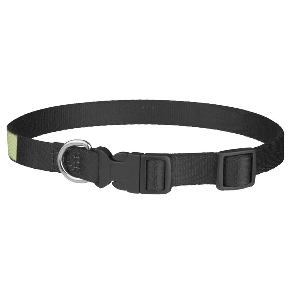 Yoga Tree Dog Collar - Medium - Back