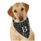 Video Game Dog Bandana Scarf w/ Name and Initial
