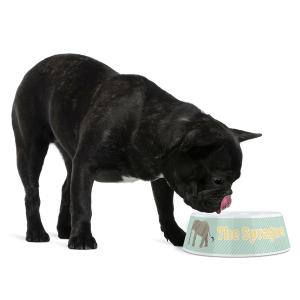 Elephant Plastic Pet Bowls - Medium - LIFESTYLE