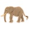 Elephant Wooden Sticker - Main