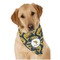 Fish Dog Bandana Scarf w/ Name or Text